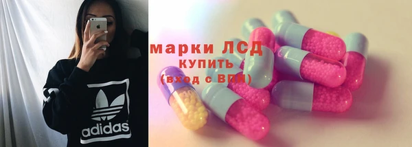 индика Алексеевка