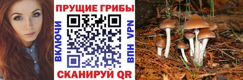 Псилоцибиновые грибы ЛСД  Котельники 